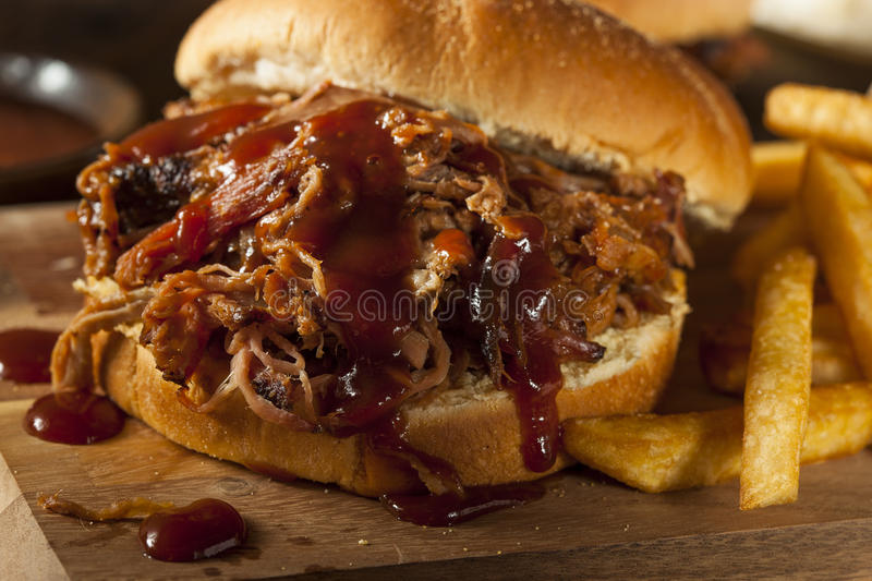 barbeque-pulled-pork-sandwich-bbq-sauce-fries-37746841